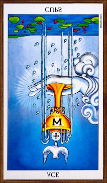 ace cups radiant rev